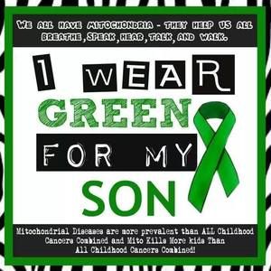 Meet your Posher, Amelia